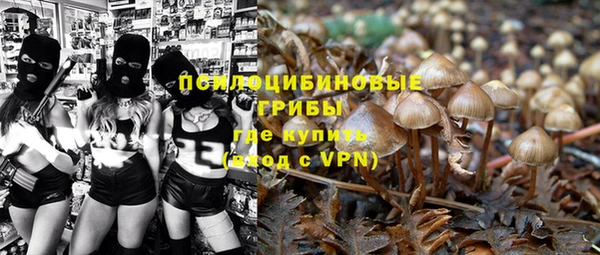 ALPHA PVP Алексин
