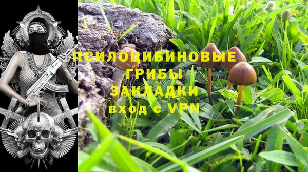 бутират Алзамай