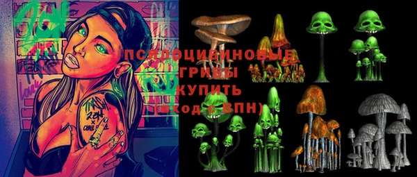 прущая мука Покачи