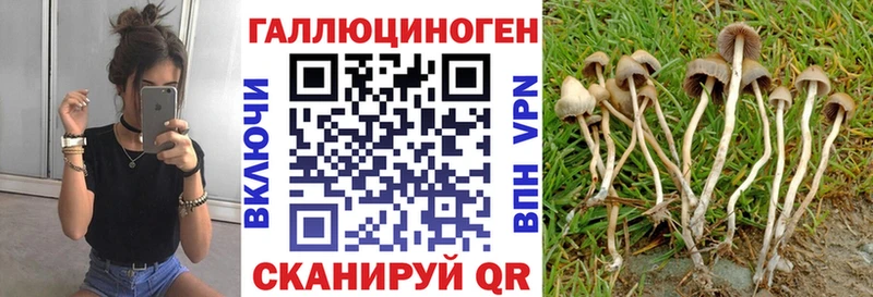 hydra tor  Уяр  Псилоцибиновые грибы Cubensis  закладка 
